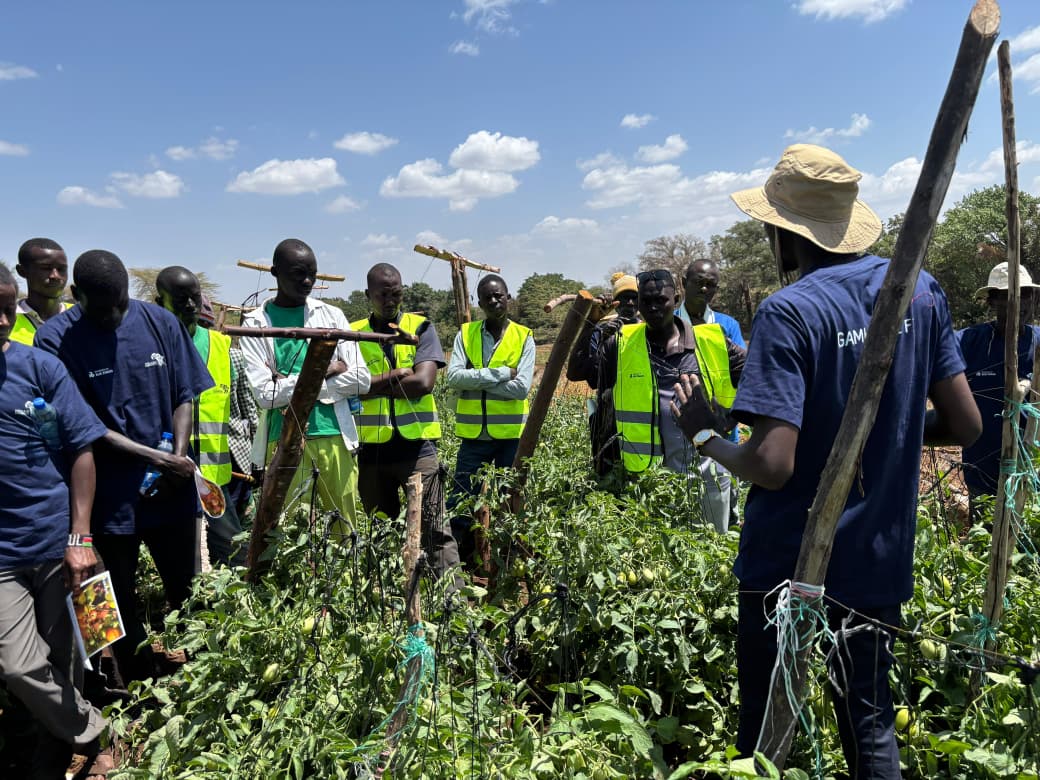 RANGE Programme Kenya tweet media