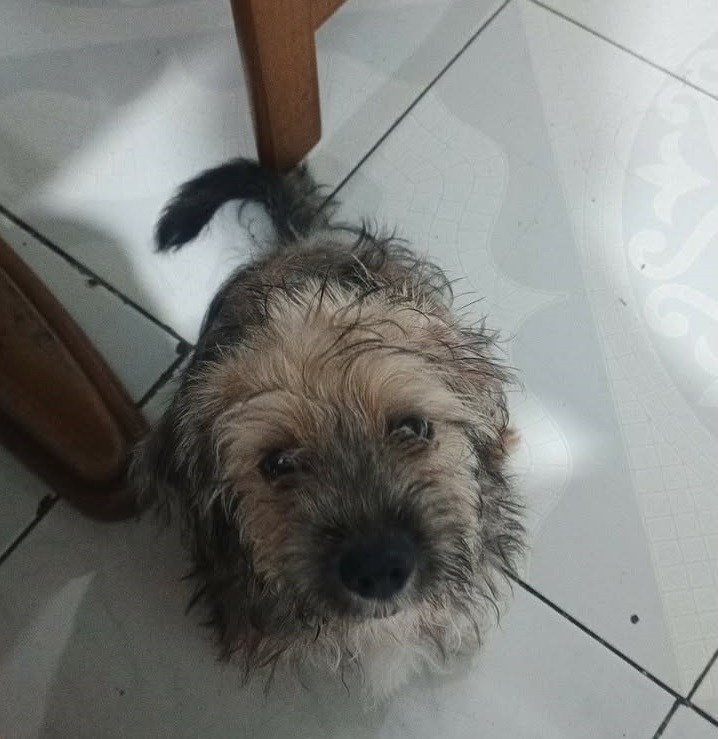 androidsupreme tweet media