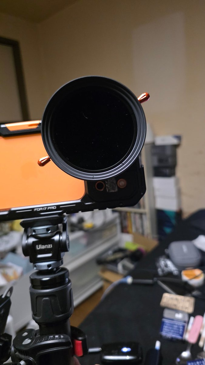 CashMeow tweet media