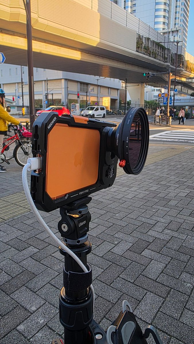 CashMeow tweet media