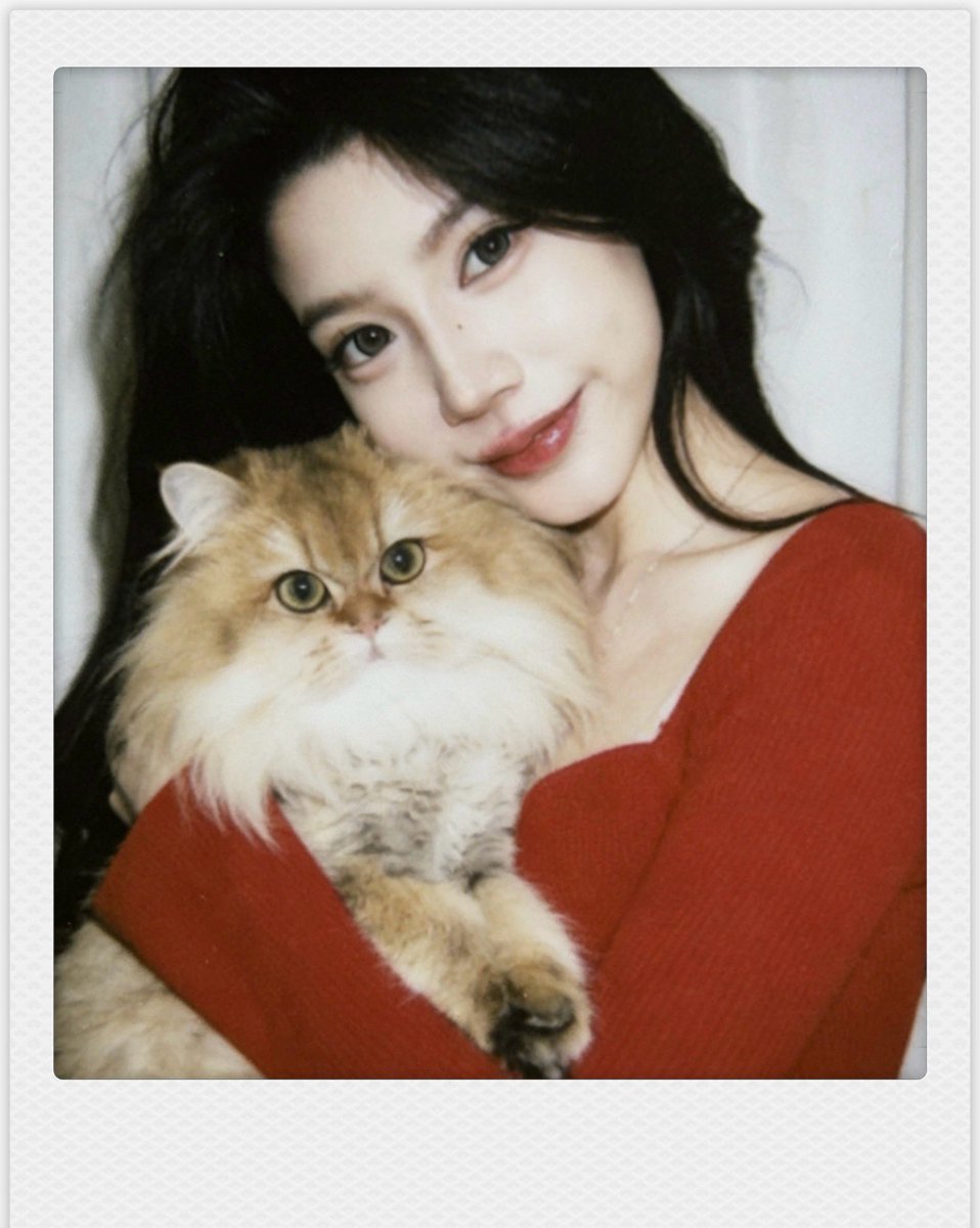 猫ちゃん飼いました🤩