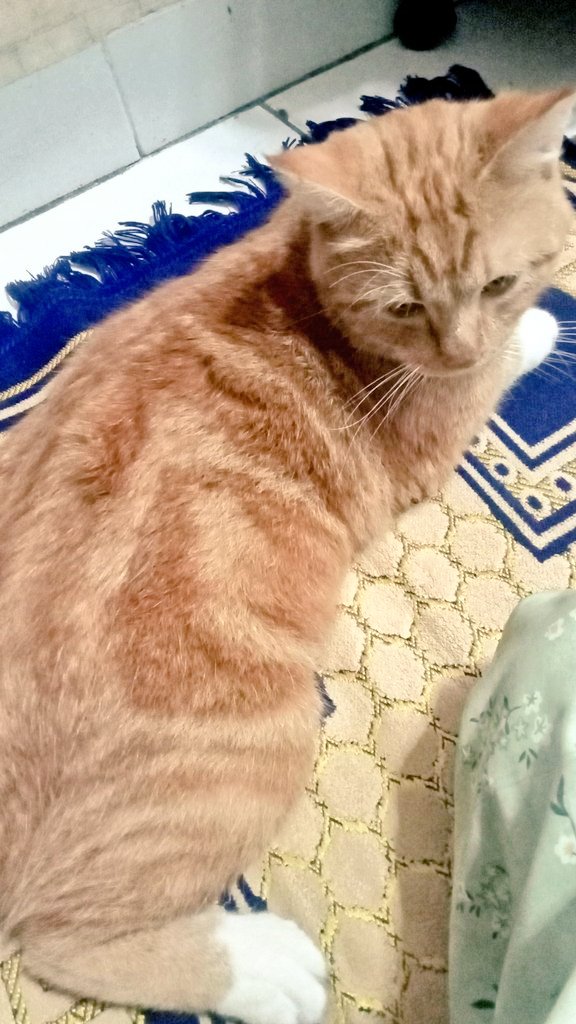 Calista. tweet media