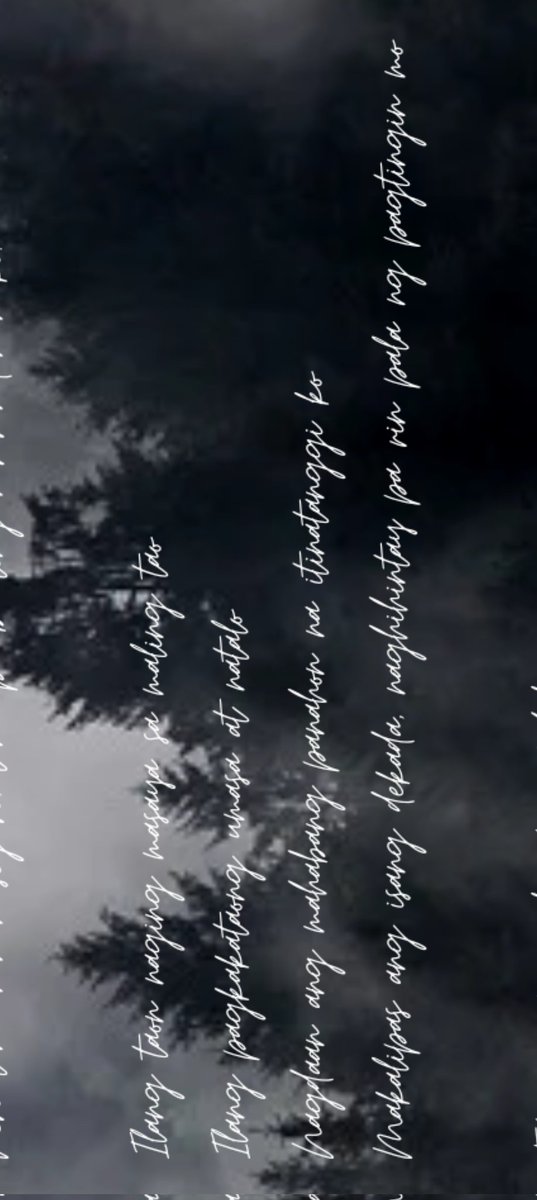 Li-en-tis tweet media