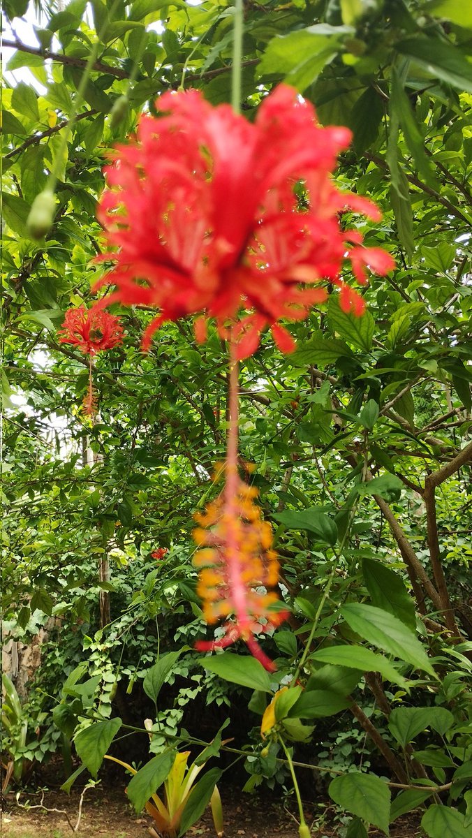 Free us from our sins, O God,
and may our sacrifices be of praise
to the glory of your Son,
our Redeemer, Jesus Christ. amen