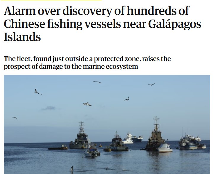 Isabella Anderson tweet media