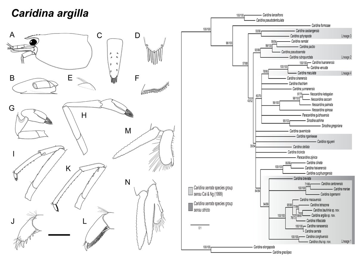 Zoological Studies tweet media
