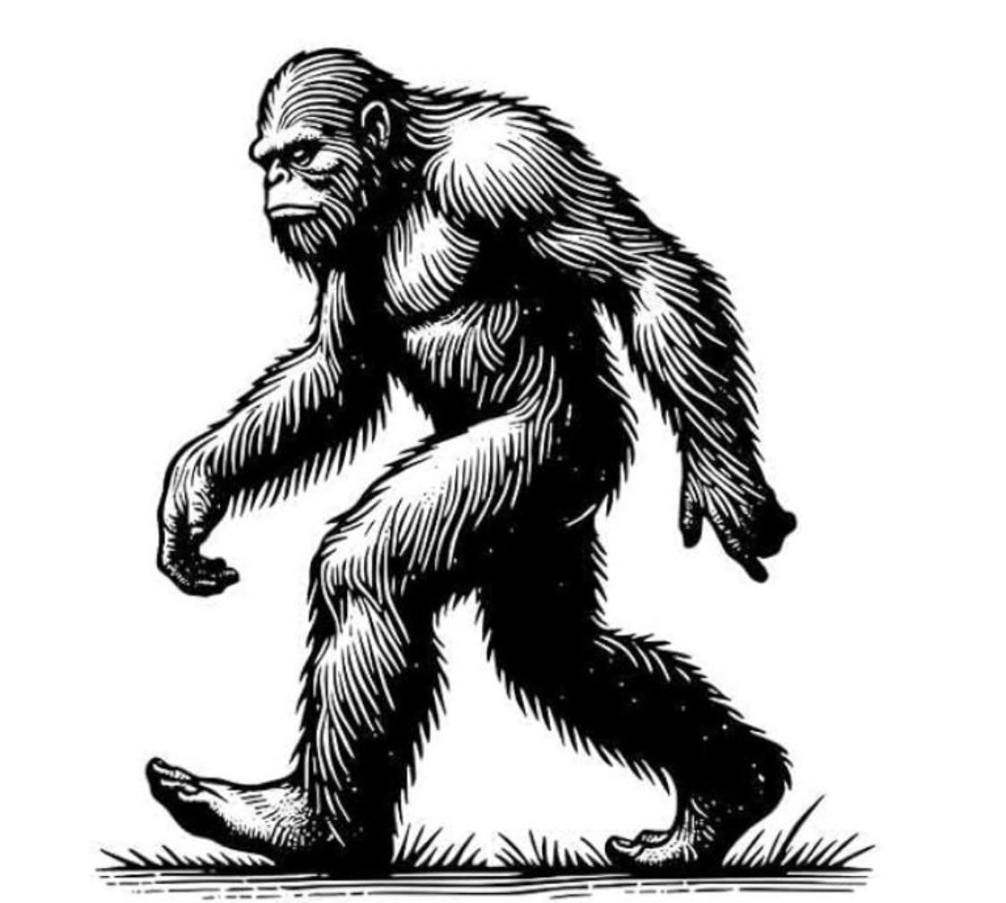 114Northgatestr's tweet image. Open 9-5pm today 🚶🏻‍♂️ins no appointments, friendly reminder shop closed Saturday 7th March 👍 @chestertweetsuk @DEATHBYTACOS_ @UoC_Football @uochester @UoCEnglish #chester #UoC #studentdeal ✂️💈✂️