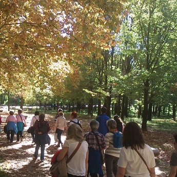 Línea Madrid tweet media