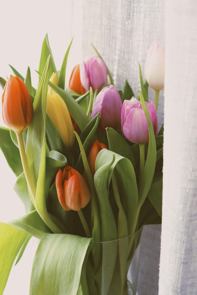 Tarja Halonen tweet media