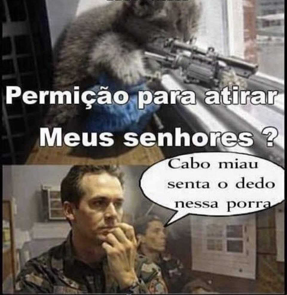 senhor dress code (@fairytalles) on Twitter photo 