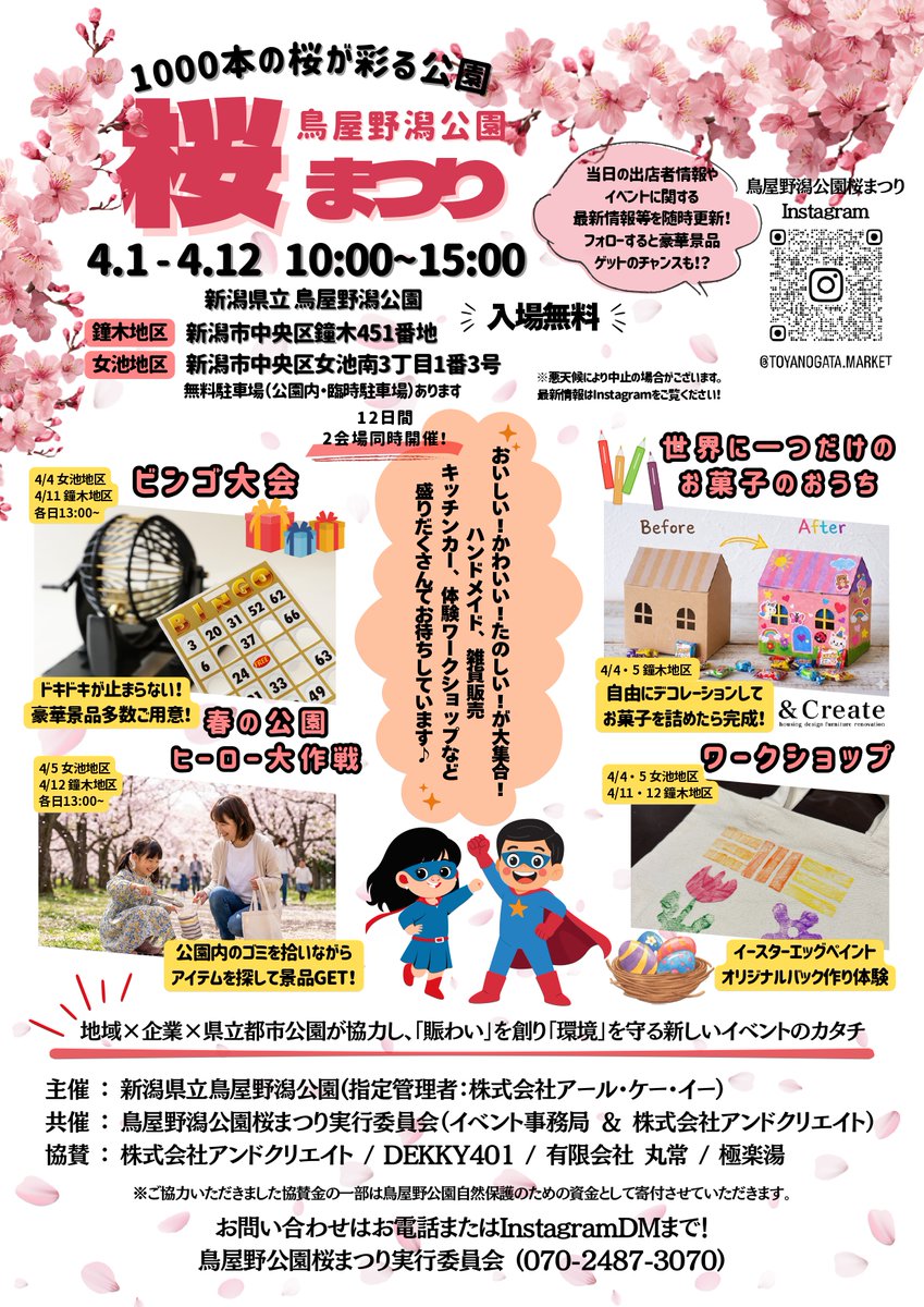 新潟の春イベント🌸🍃 1000本の桜の下で 12日間の桜まつり開催🤩 📅4月
