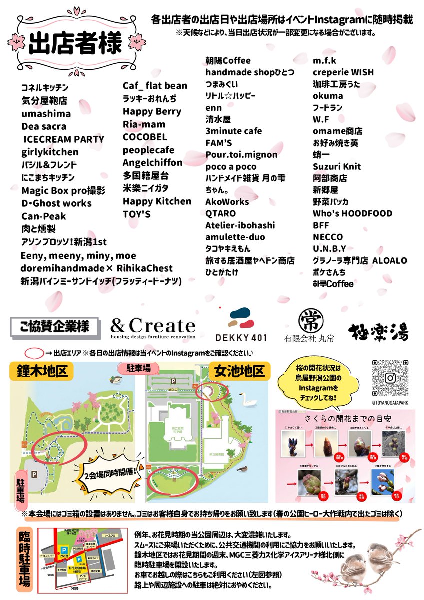 新潟の春イベント🌸🍃 1000本の桜の下で 12日間の桜まつり開催🤩 📅4月