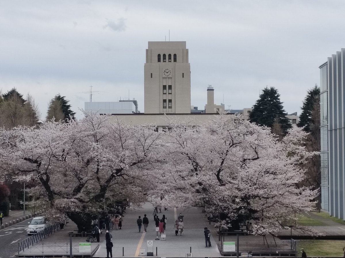 teqwelcome's tweet photo. 🌸一般選抜合格者の皆様、おめでとうございます🌸

東京科学大クイズ研究会 TEQは水曜の午後を中心に集まってクイズを楽しむサークルです。

興味がある方はご気軽にDM等お願いします✉️

#春から東工大
#春から東京科学大
#春から科学大
#春から医科歯科

理工学系・医歯学系問わず新入生歓迎です！ https://t.co/k14NMXhHCn