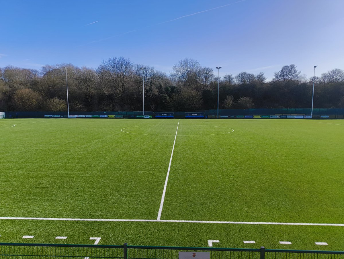 LionessesST tweet media