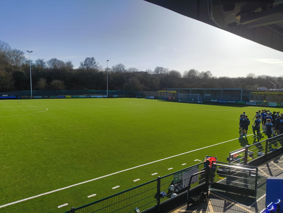 LionessesST tweet media