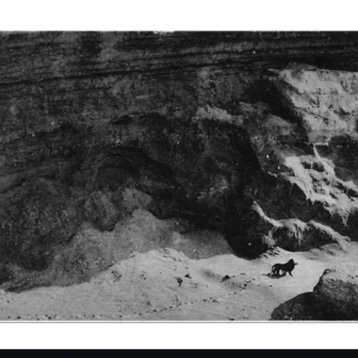 Gerardo Ramírez 🇲🇽 🏳️‍🌈🏳️ tweet media