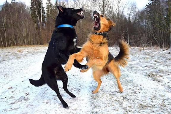 WALDEMAR JANUSZCZAK tweet media