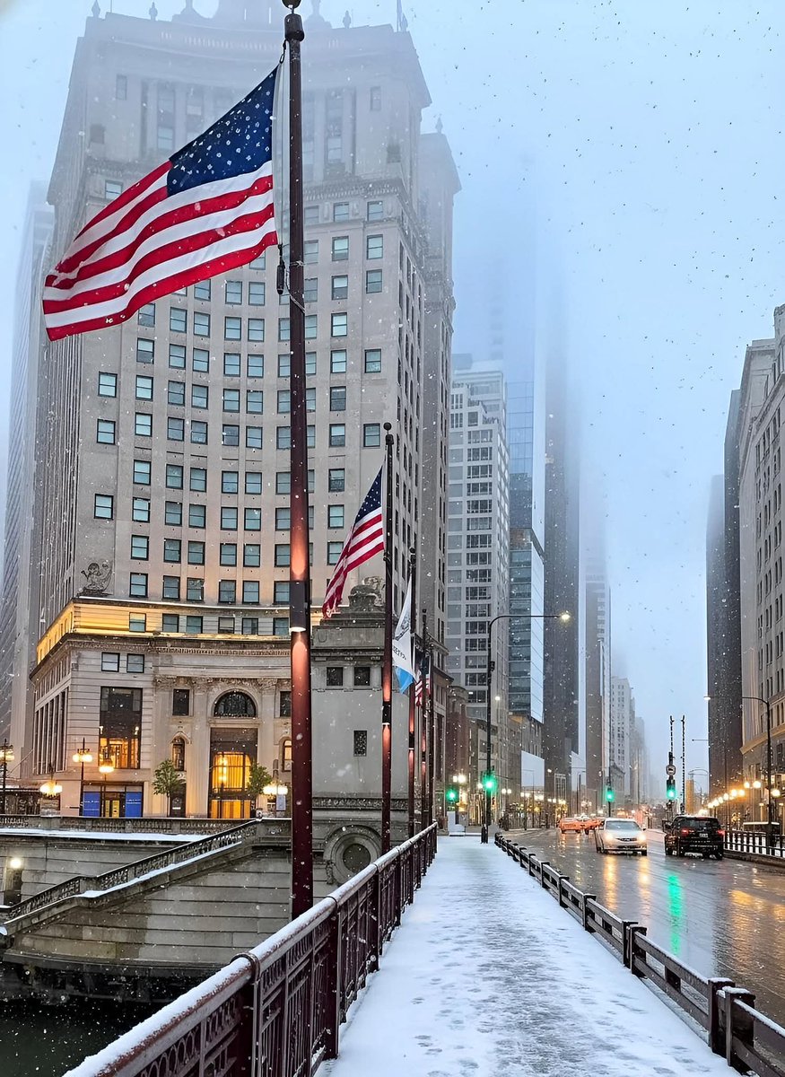 naturebeauty760's tweet photo. Snowy Chicago, USA 🇺🇸 https://t.co/GiC0v5NarE