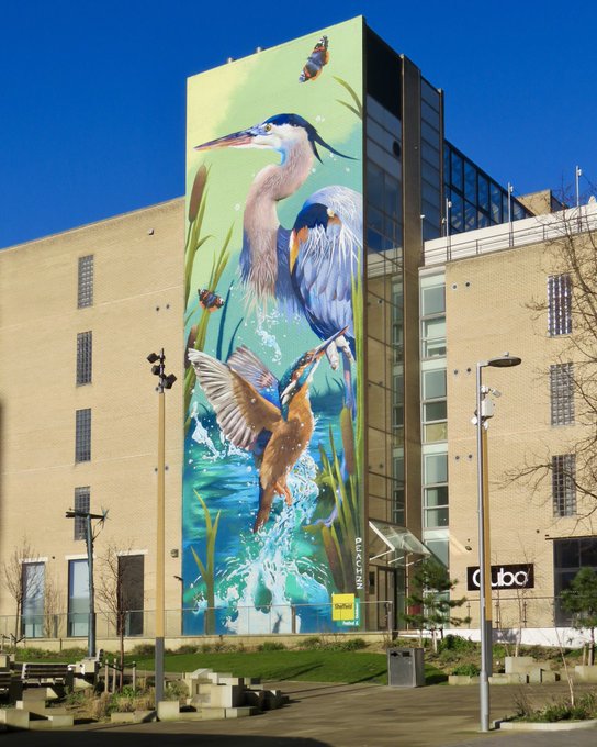 SheffieldHousingCo tweet media