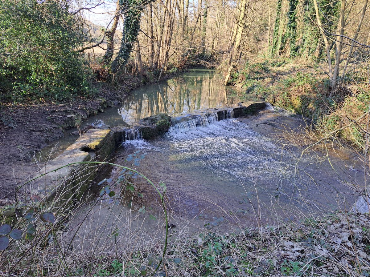 SheffieldHousingCo tweet media