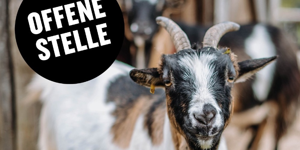 JuckerFarm tweet media