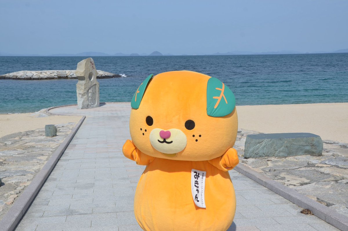 みきゃん【公式】《愛媛県イメージアップキャラクター》 tweet media