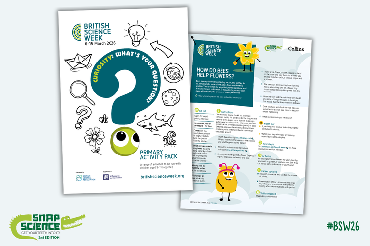 Collins Primary tweet media