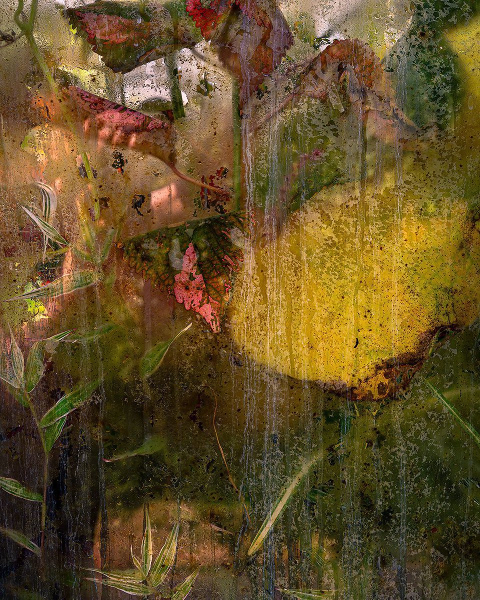 Steve Palmer tweet media