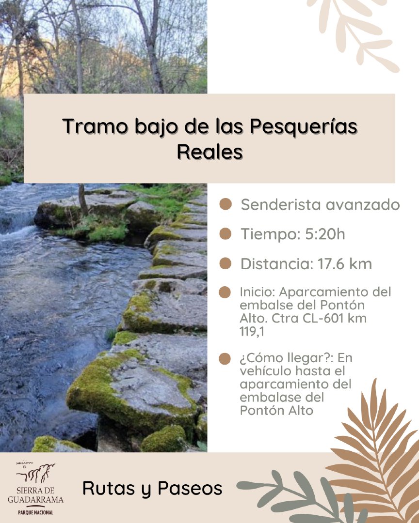 PN_Guadarrama's tweet photo. Tramo bajo de las Pesquerías Reales
Emblemático camino creado por #CarlosIII para poder ejercer la pesca de forma cómoda y segura a lo largo del rio #Eresma
👉 Info y track: https://t.co/qtmw9rQLsL
#rutas #divulgacion #parquenacional #nationalpark #sierradeguadarrama https://t.co/t2tPVPZQVO