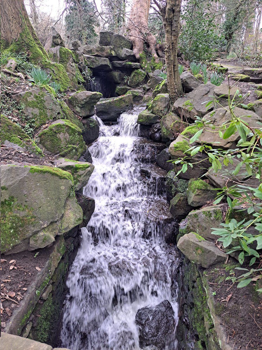 Gemma Walker tweet media