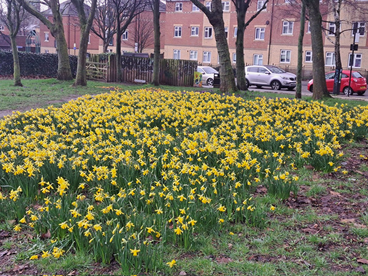 Gemma Walker tweet media