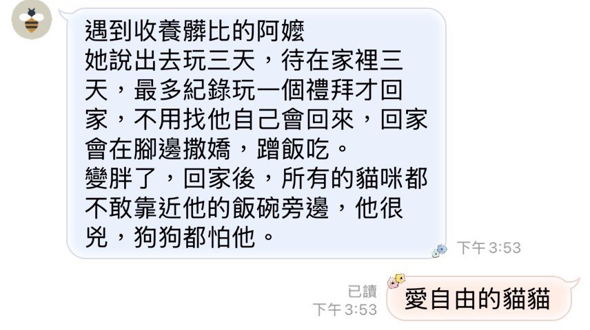 量子領域人類 tweet media