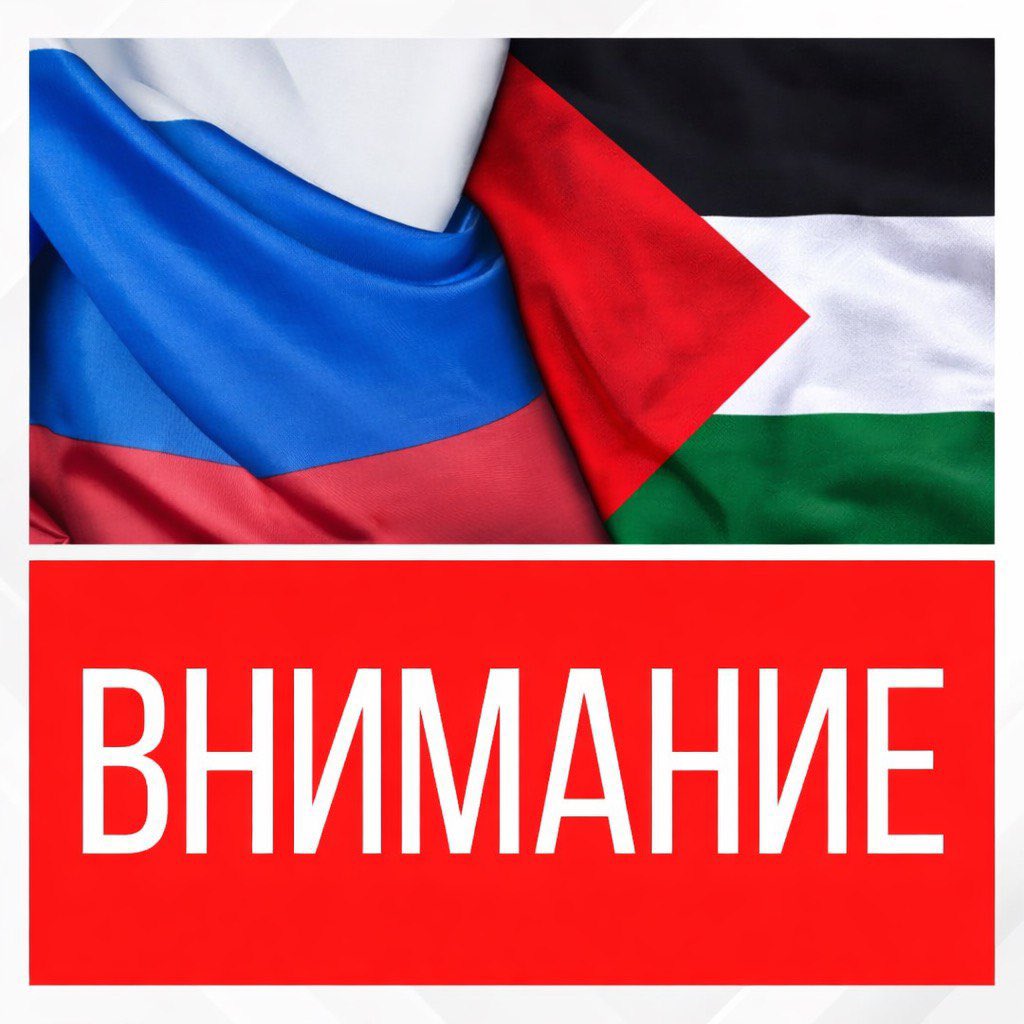 Russian Representative Office / Palestine tweet media