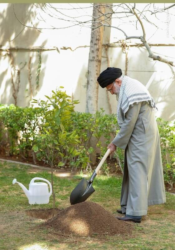 درخت‌هایی که او کاشت،
 امروز سایه‌سار یادش‌اند؛
 سبزتر از هر خاطره، 
زنده‌تر از هر نام
#لبیک_یا_خامنه_ای