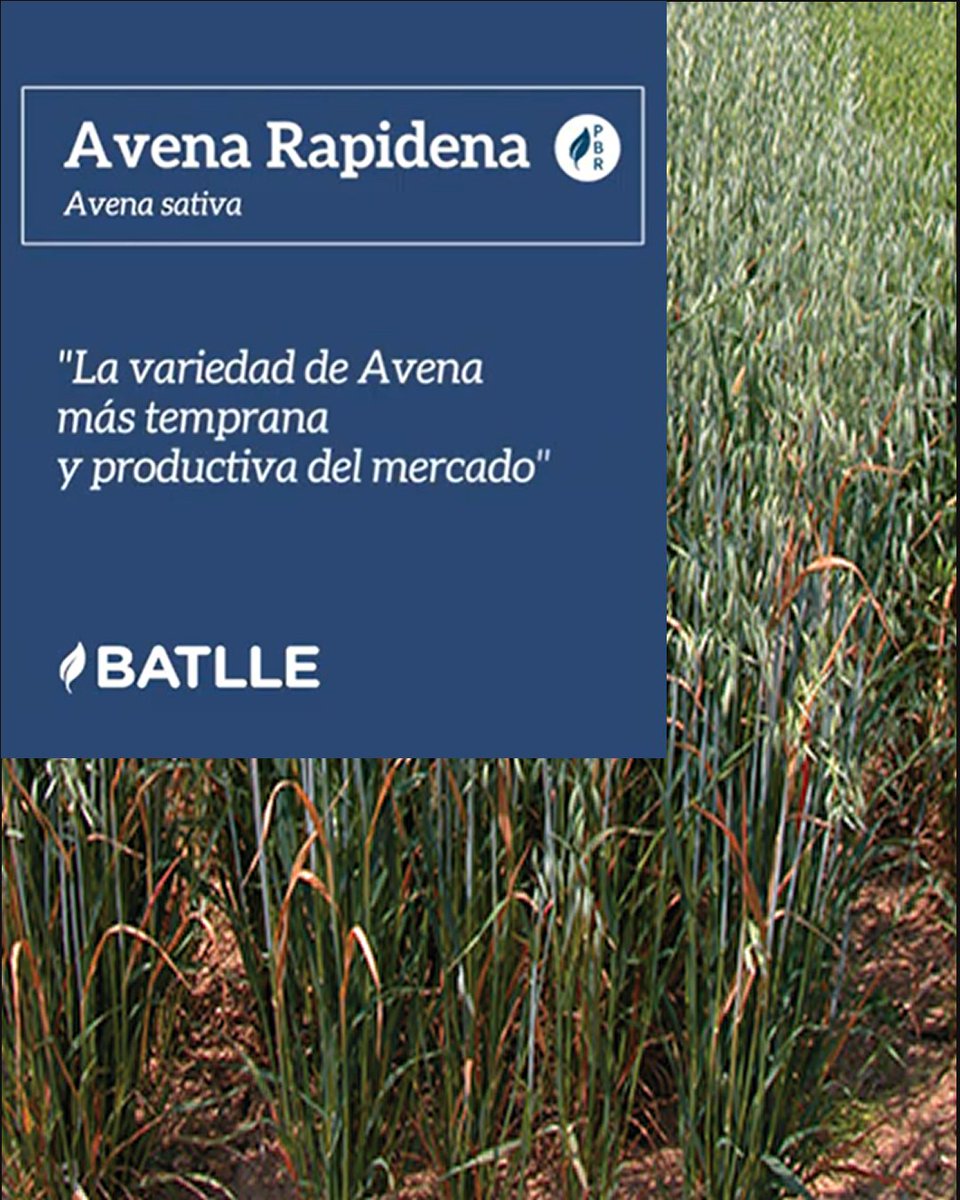 Infoagro tweet media