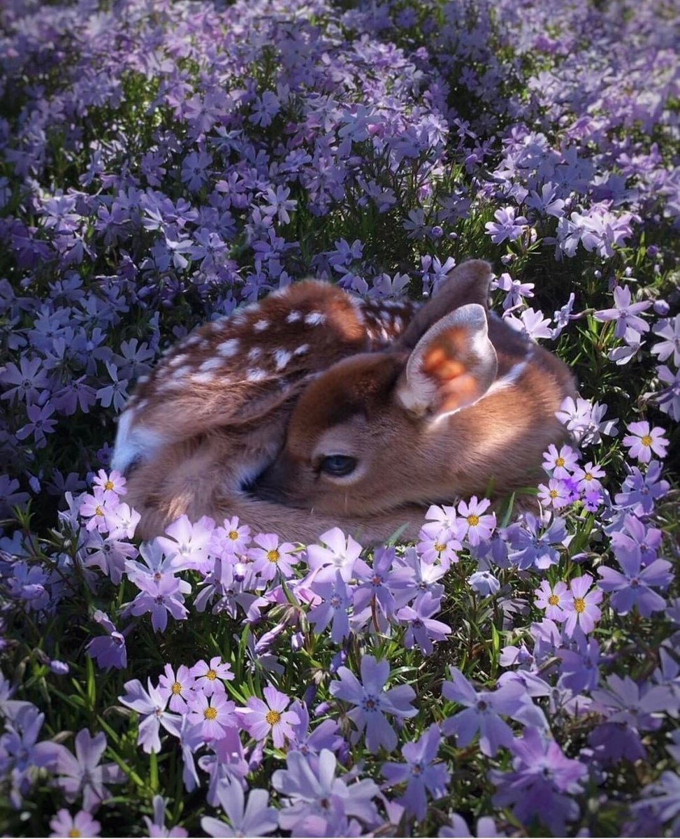 Aesthetics tweet media