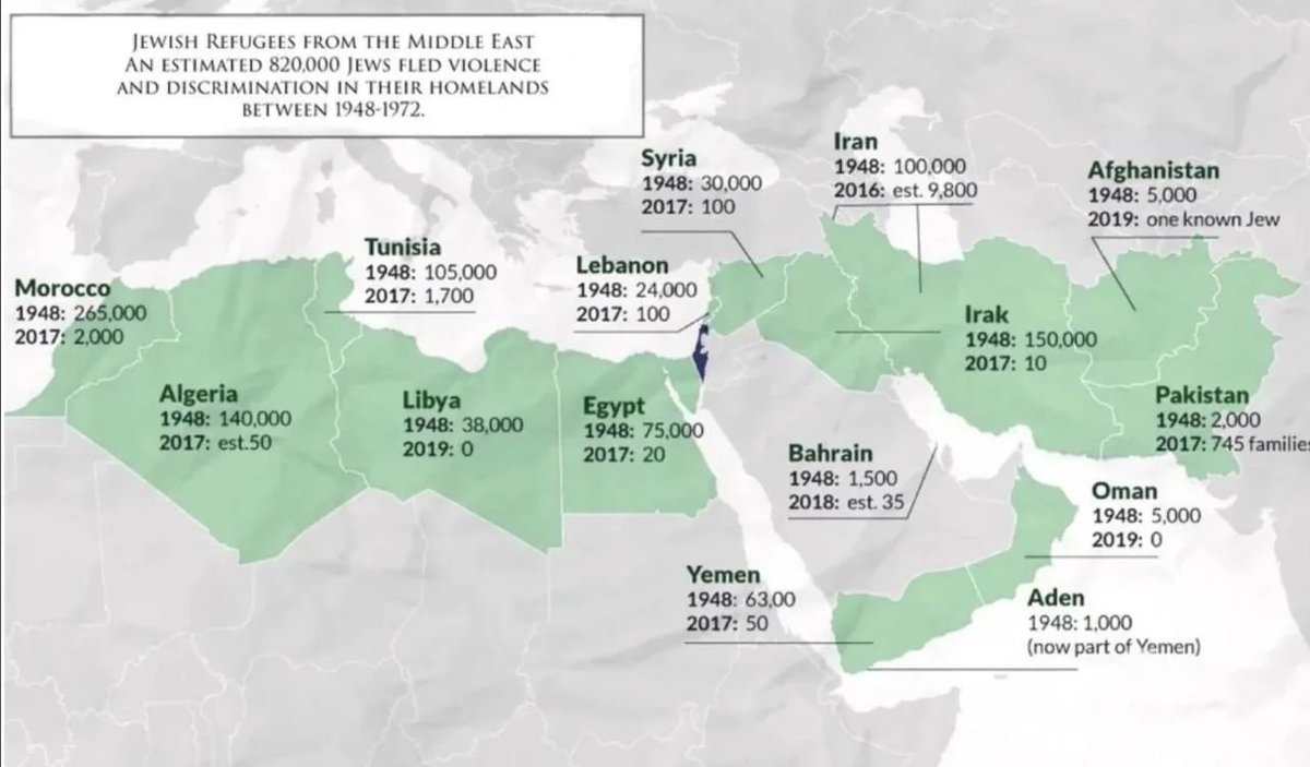 Сафра Шпанец tweet media