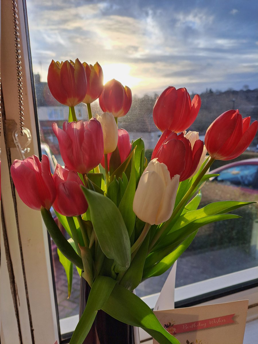 Gemma Walker tweet media