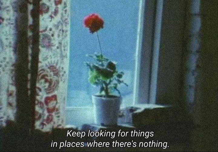 FilmoteCanet Cinema tweet media