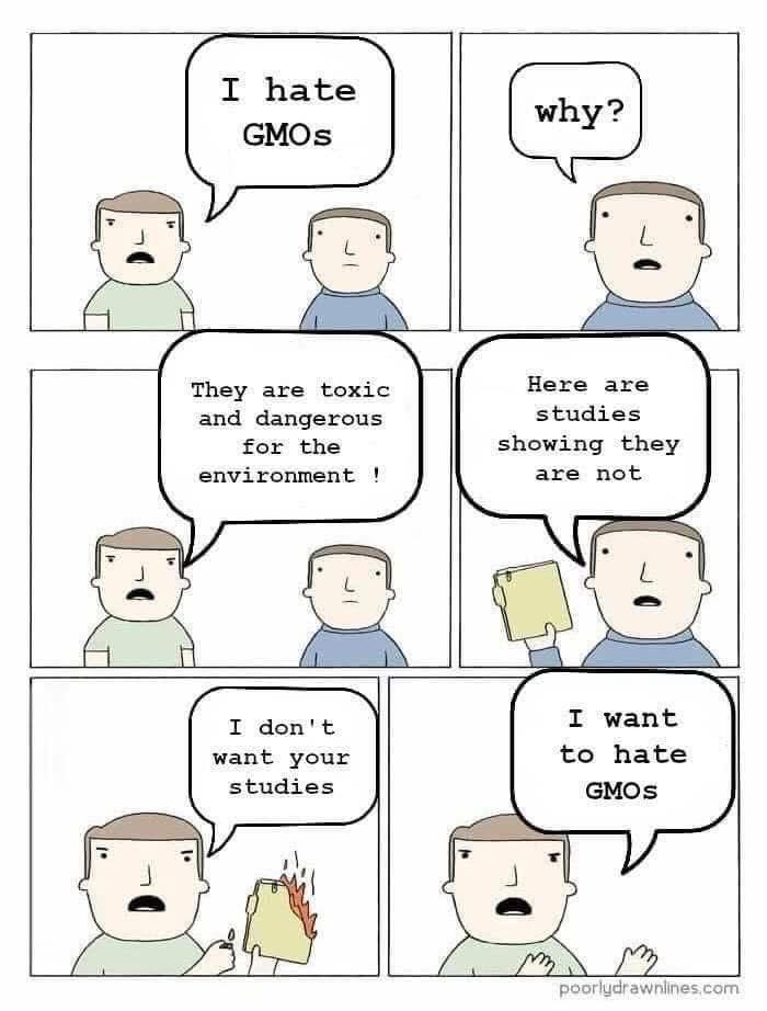 Simon Maechling tweet media