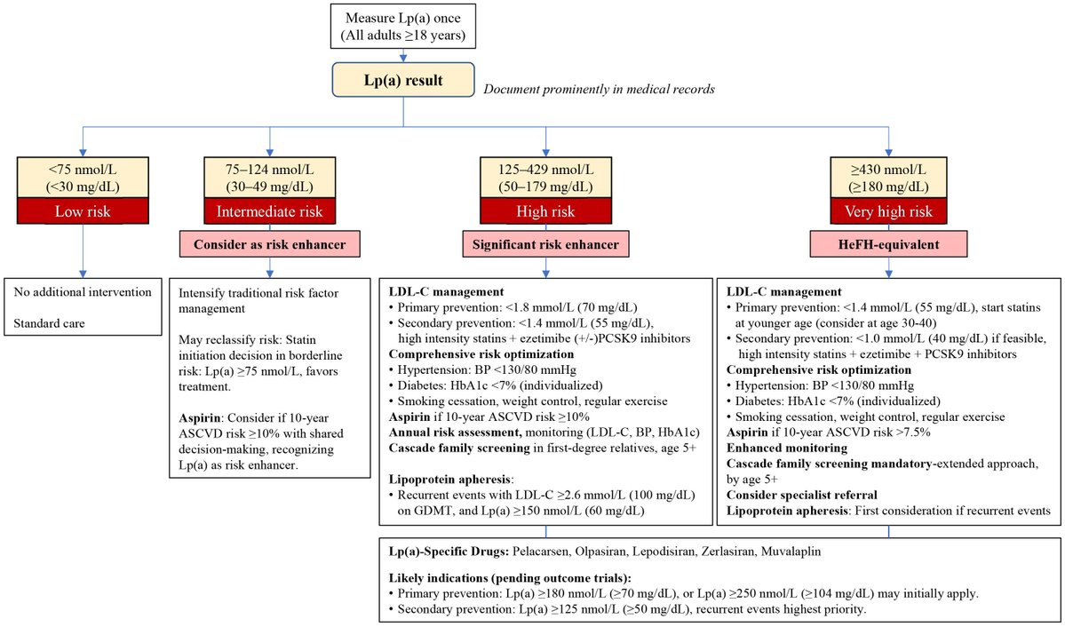 Reviews in Cardiovascular Medicine tweet media