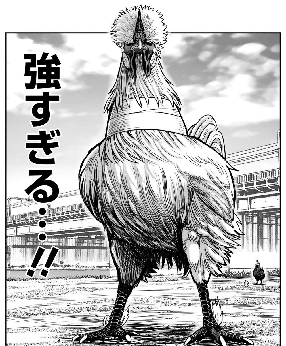 桜谷シュウ 『ニワトリ・ファイター』 Rooster Fighter 第11巻 発売中