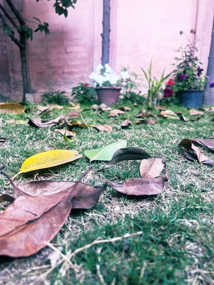 ਝੜ੍ਹ ਕੇ ਡਿਗ ਪਏ ਸਾਰੇ,
ਕੋਈ ਹਰਾ, ਕੋਈ ਪੀਲਾ, ਕੋਈ ਖਾਕੀ ਸੀ,
ਹਨੇਰੀਆਂ ਨੇ ਤਾਂ ਲਗਦਾ ਮੁਕਾ ਦਿੱਤਾ ਸੀ ਸਭ ਕੁਝ,
ਪਰ ਰਿਸ਼ਤਿਆਂ ਵਿਚ ਕੁਝ ਸਾਹ, ਅਜੇ ਬਾਕੀ ਸੀ…

-Kiran Nirvan