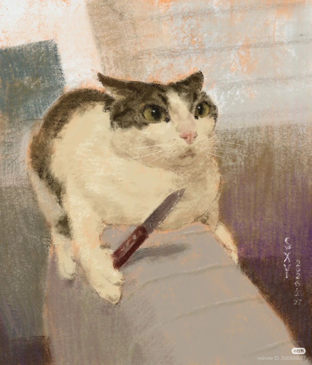 No Context Cats tweet media