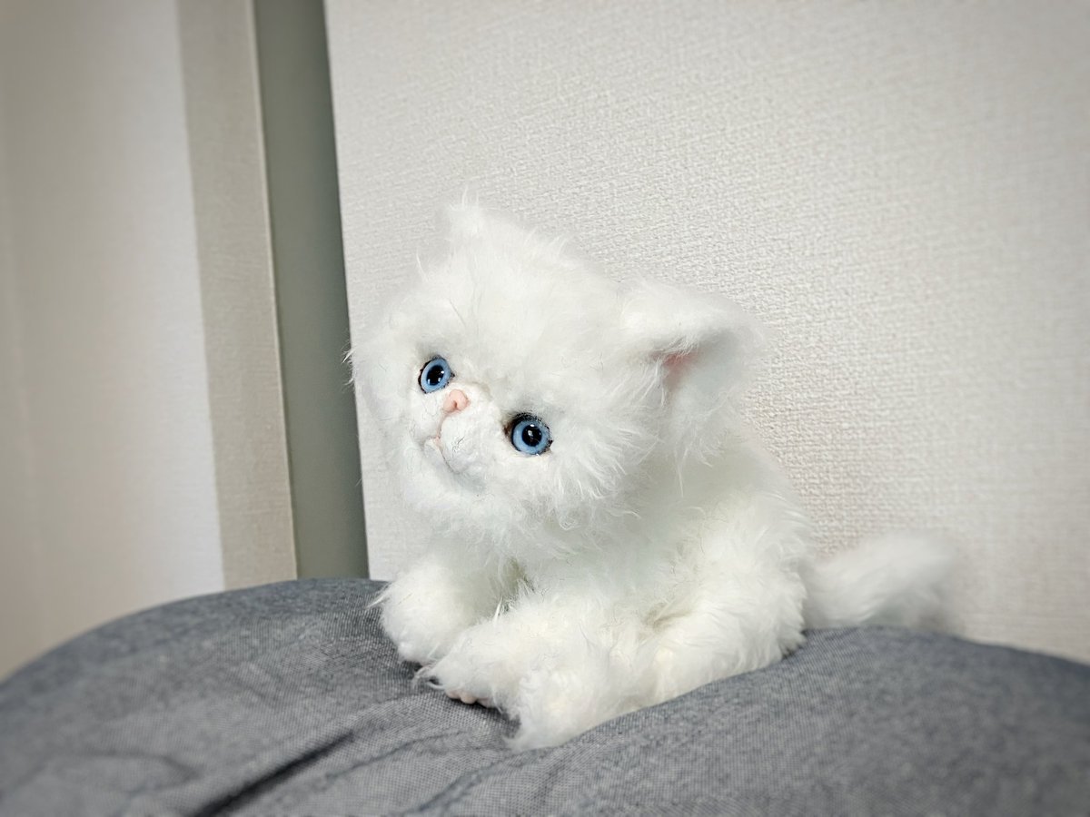 一月からエキゾチック猫ちゃんにはまって色々作ってまして どの子も