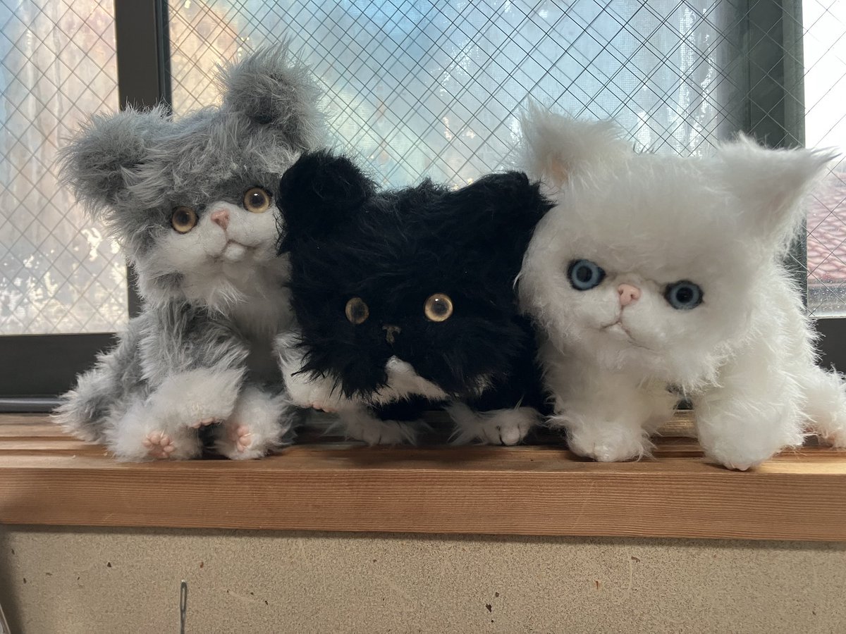 一月からエキゾチック猫ちゃんにはまって色々作ってまして どの子も