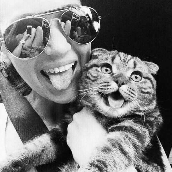 Venerdì è il giorno dell'accensione del weekend. 💡🌞🌞🌷🌷❤️❤️
Buongiorno a bella gente ❤️🌷🌞