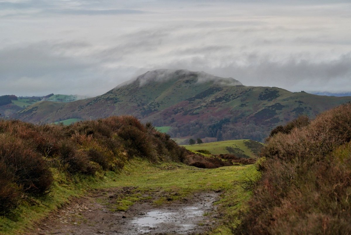 Matthew Halstead tweet media