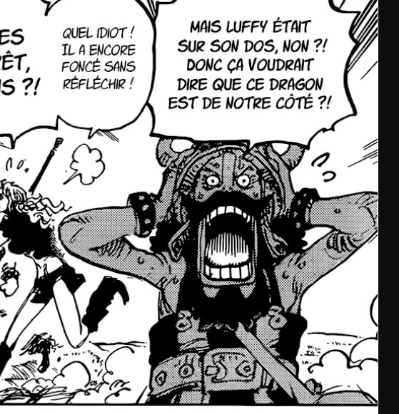 Jojo D. Gaucho 🏴‍☠️🇵🇸 tweet media