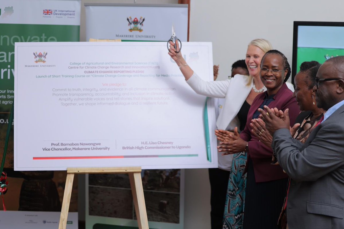 Lisa Chesney tweet media